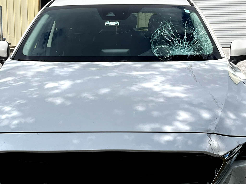 fix car windshield